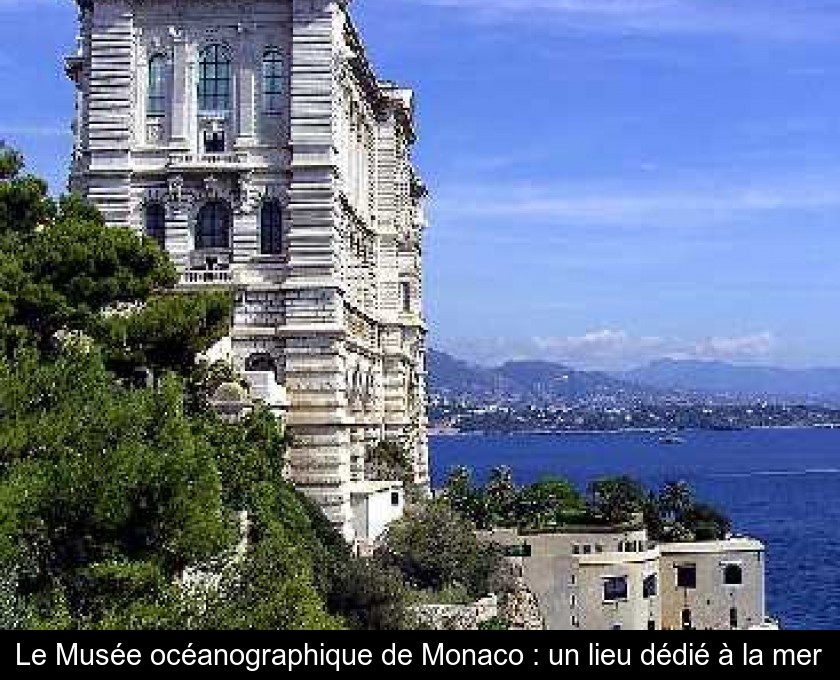 Le Musée océanographique de Monaco : un lieu dédié à la mer