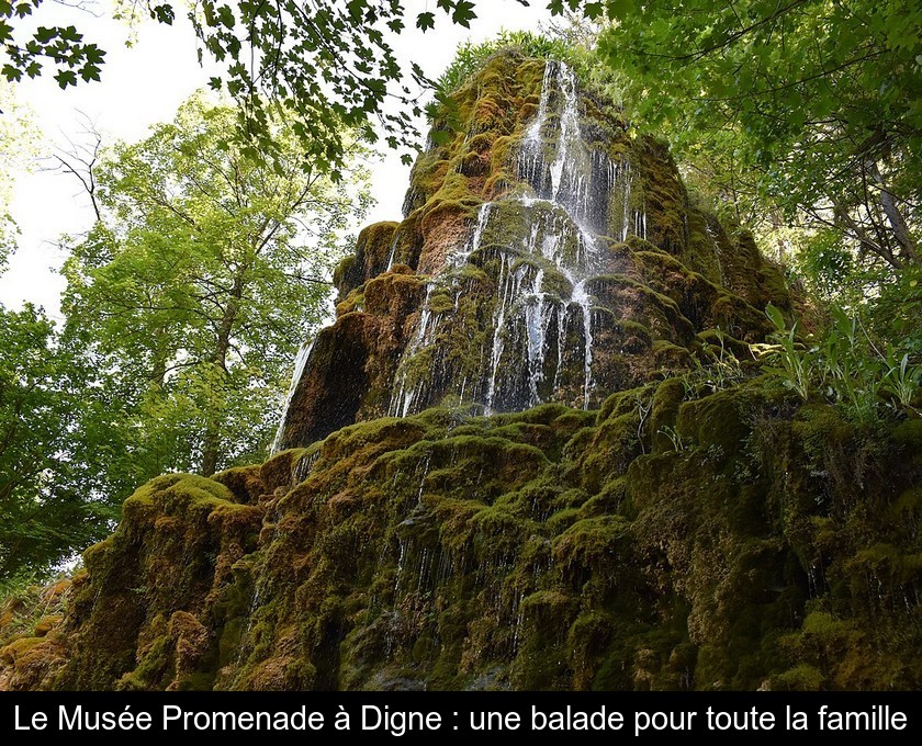 Le Musée Promenade à Digne : une balade pour toute la famille