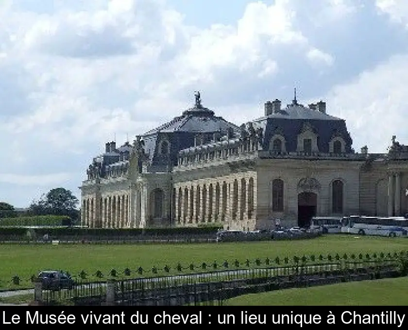 Le Musée vivant du cheval : un lieu unique à Chantilly