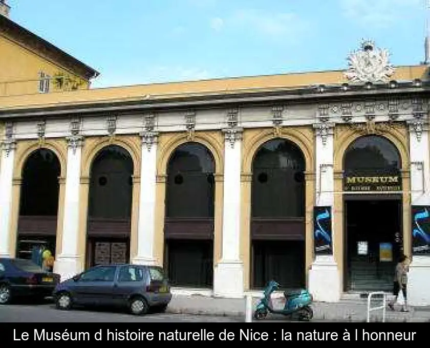 Le Muséum d'histoire naturelle de Nice : la nature à l'honneur