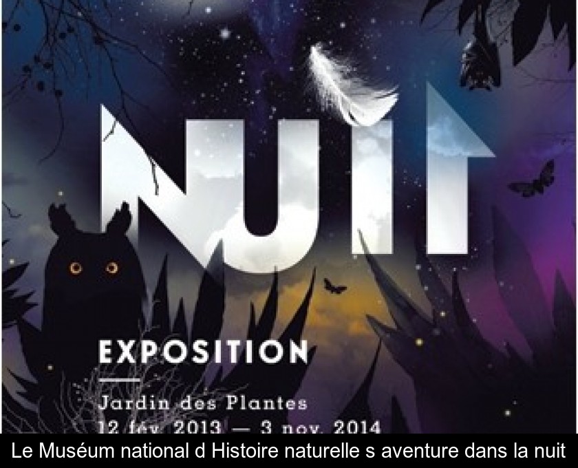 Le Muséum national d'Histoire naturelle s'aventure dans la nuit