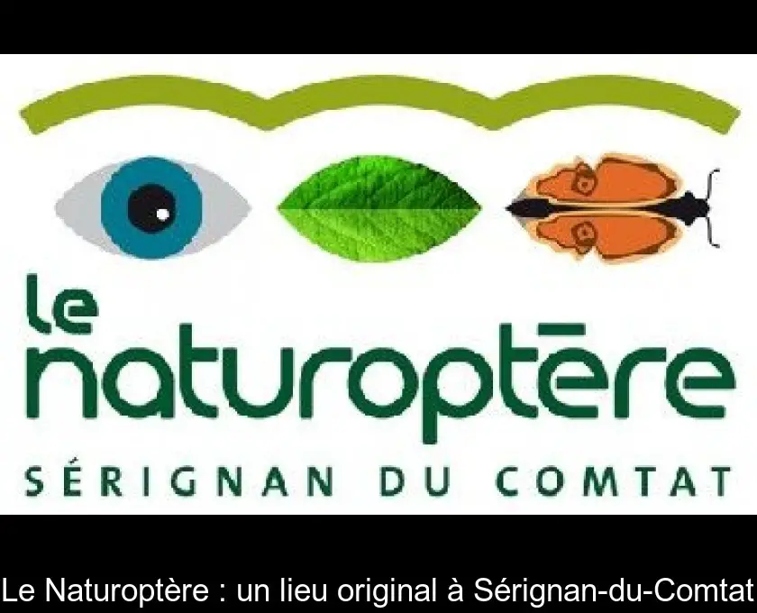 Le Naturoptère : un lieu original à Sérignan-du-Comtat