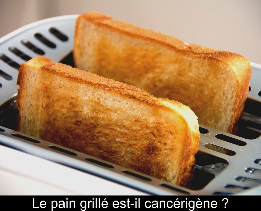 https://www.gralon.net/articles/vignettes/thumb-le-pain-grille-est-il-cancerigene--13415.jpg