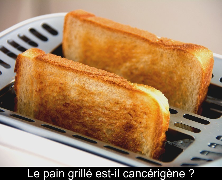 Le pain grillé est-il cancérigène ?