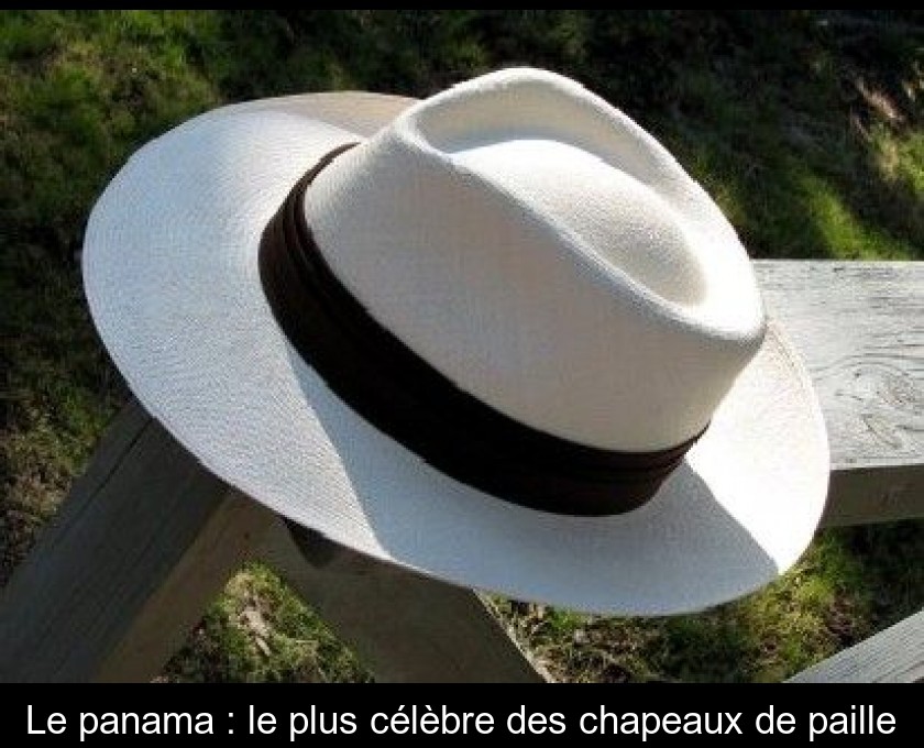 Le panama : le plus célèbre des chapeaux de paille Le panama : le plus célèbre des chapeaux de paille