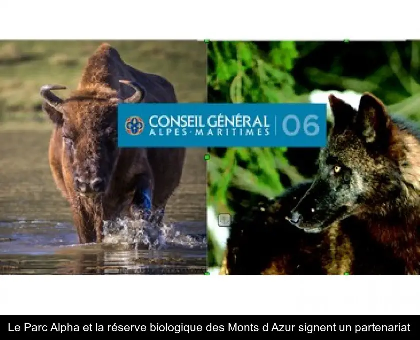 Le Parc Alpha et la réserve biologique des Monts d'Azur signent un partenariat