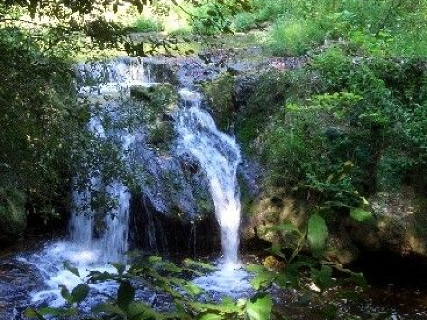 Le Parc de la Brague : une promenade au fil de l'eau Le Parc de la Brague : une promenade au fil de l'eau