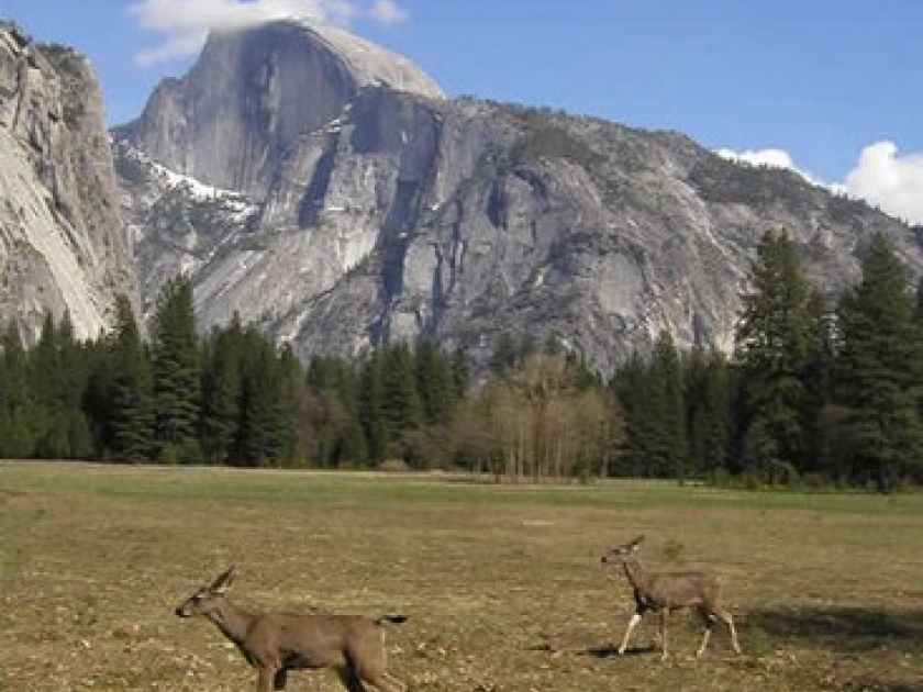 Le parc de Yosemite : une visite incontournable en Californie Le parc de Yosemite : une visite incontournable en Californie