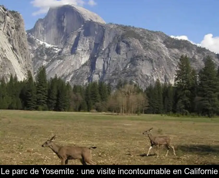 Le parc de Yosemite : une visite incontournable en Californie