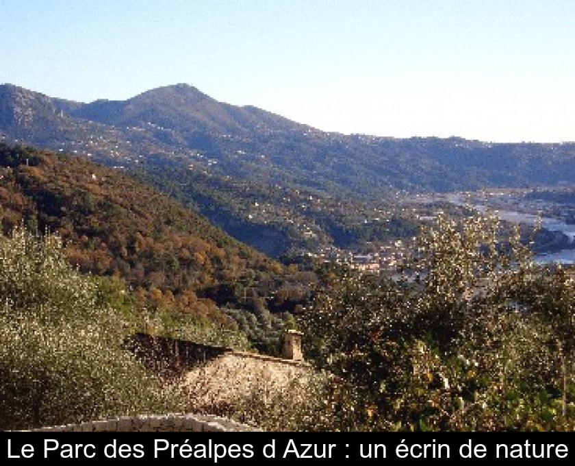 Le Parc des Préalpes d'Azur : un écrin de nature