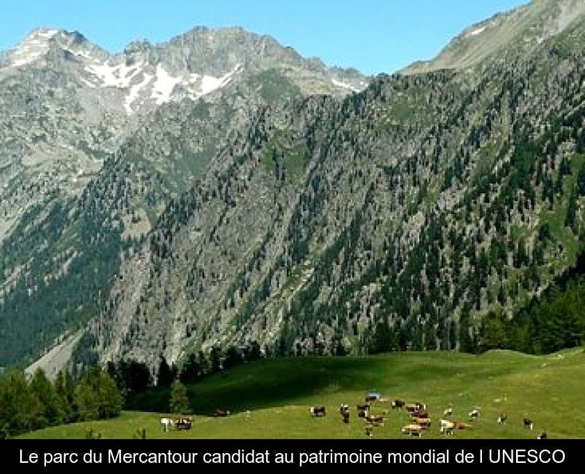 Le parc du Mercantour candidat au patrimoine mondial de l'UNESCO Le parc du Mercantour candidat au patrimoine mondial de l'UNESCO