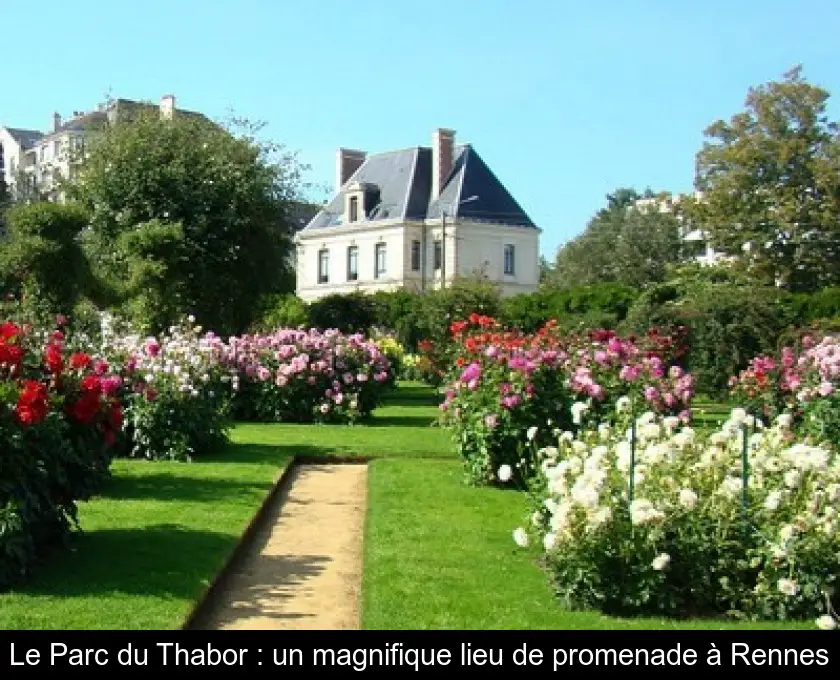 Le Parc du Thabor : un magnifique lieu de promenade à Rennes