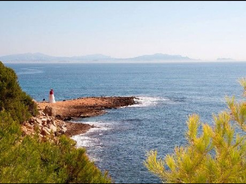 Le Parc marin de la Côte Bleue : un lieu à découvrir Le Parc marin de la Côte Bleue : un lieu à découvrir