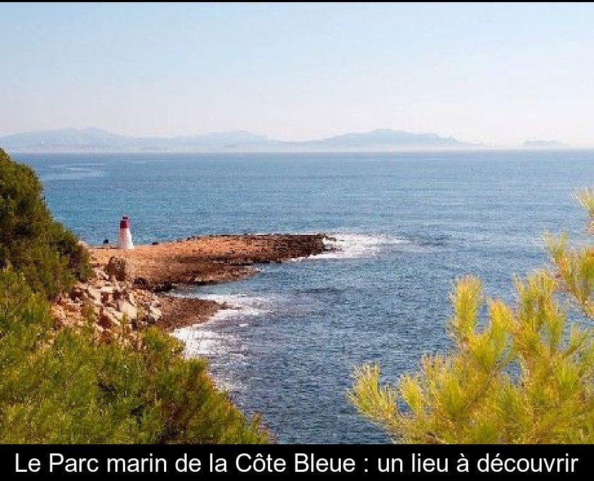 Le Parc marin de la Côte Bleue : un lieu à découvrir