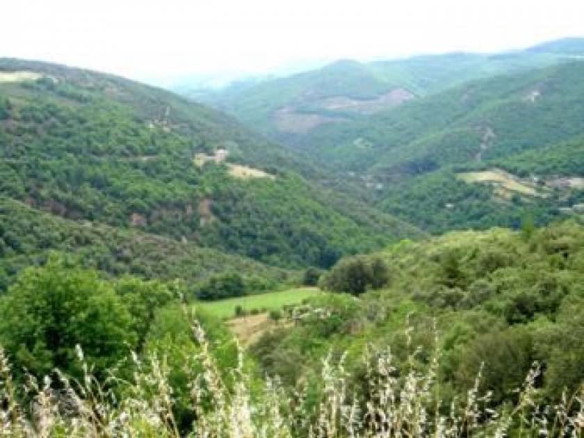 Le Parc national des Cévennes Le Parc national des Cévennes