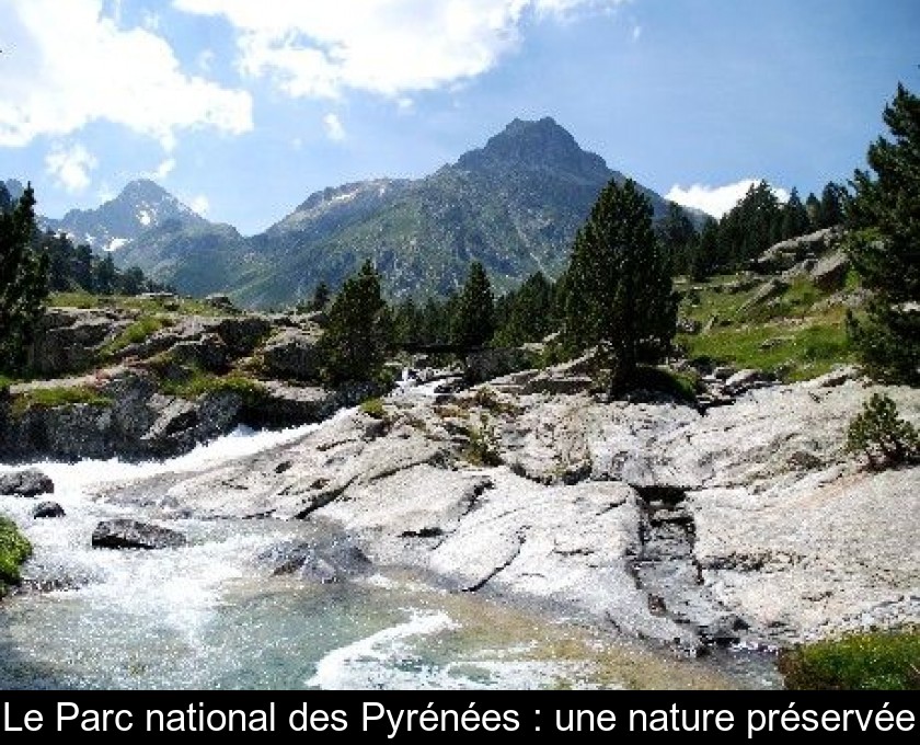 Le Parc national des Pyrénées : une nature préservée Le Parc national des Pyrénées : une nature préservée