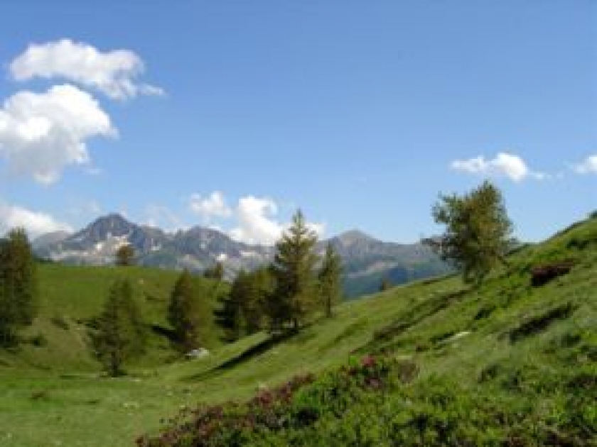 Le Parc national du Mercantour Le Parc national du Mercantour