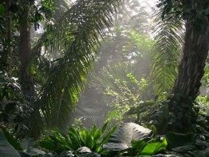 Le Parc Phoenix : un parc floral à découvrir à Nice Le Parc Phoenix : un parc floral à découvrir à Nice