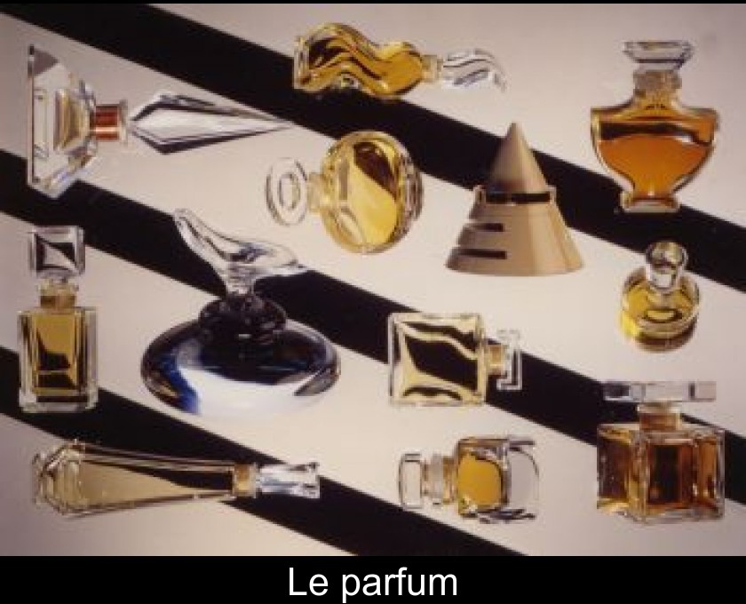 Le parfum Le parfum