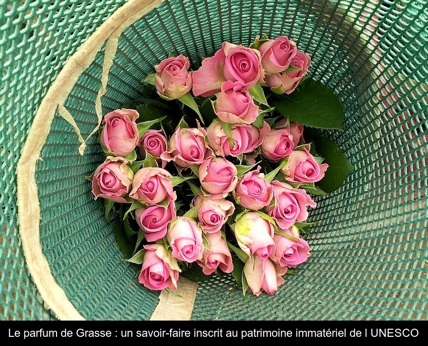Le parfum de Grasse : un savoir-faire inscrit au patrimoine immatériel de l'UNESCO Le parfum de Grasse : un savoir-faire inscrit au patrimoine immatériel de l'UNESCO