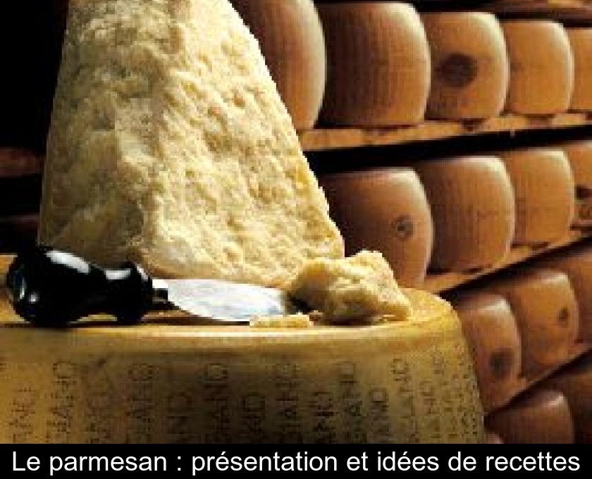 Le parmesan : présentation et idées de recettes