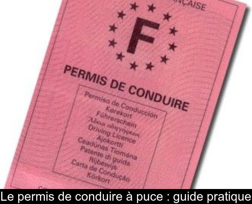 Le permis de conduire à puce : guide pratique