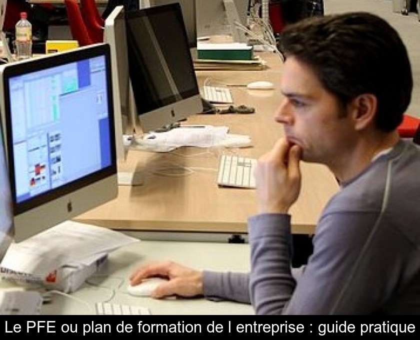 Le PFE ou plan de formation de l'entreprise : guide pratique