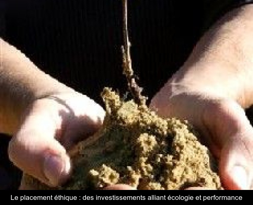 Le placement éthique : des investissements alliant écologie et performance Le placement éthique : des investissements alliant écologie et performance