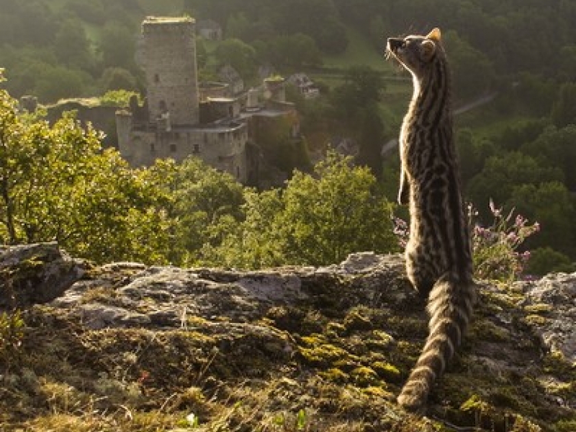 Le plus beau pays du monde revient sur France 2 Le plus beau pays du monde revient sur France 2