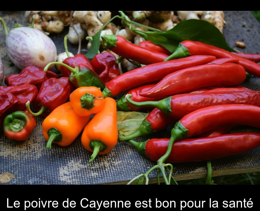 Piment de Cayenne – le poivre