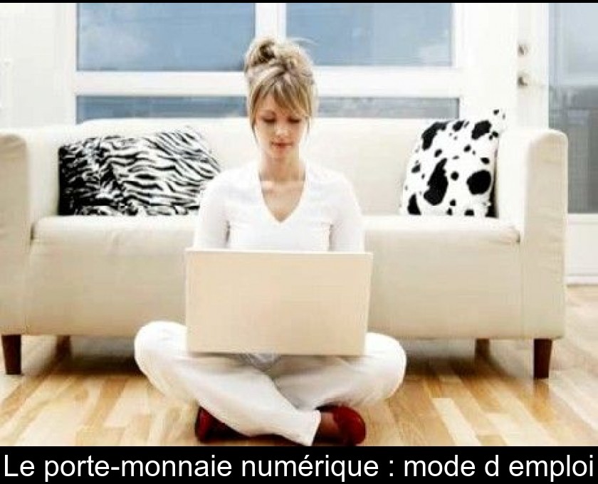Le porte-monnaie numérique : mode d'emploi Le porte-monnaie numérique : mode d'emploi