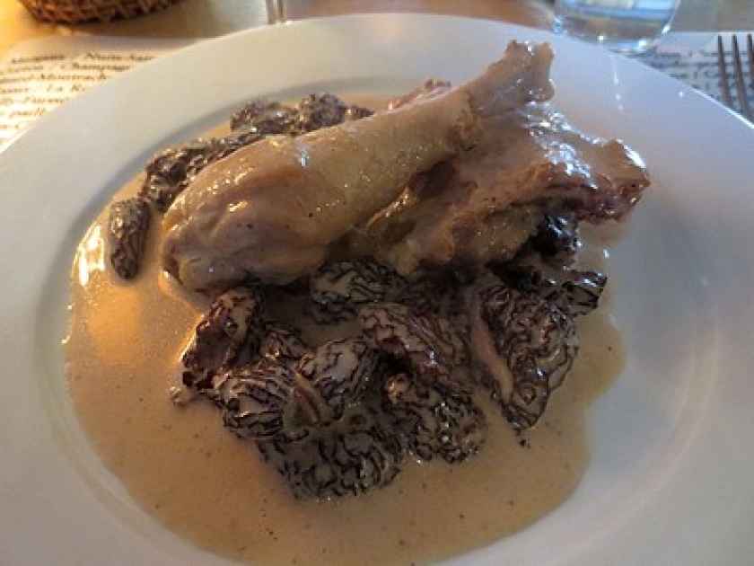 Le poulet aux morilles : une recette de fête Le poulet aux morilles : une recette de fête