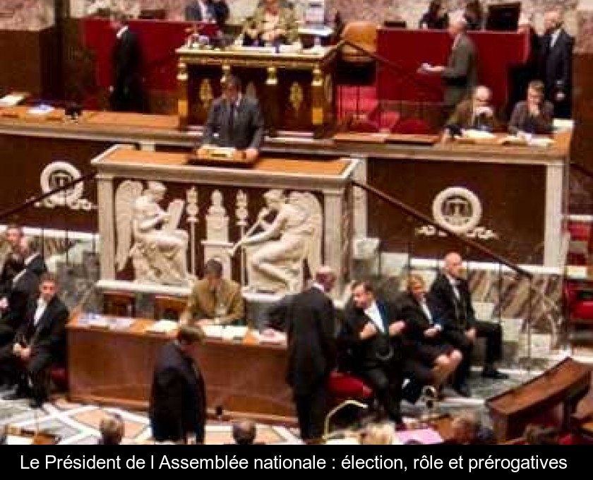 Le Président de l'Assemblée nationale : élection, rôle et prérogatives 