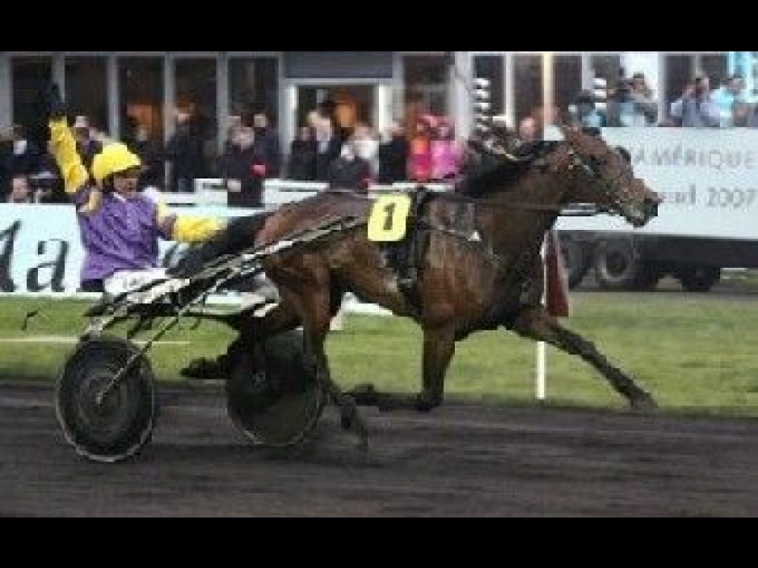 Le Prix d'Amérique : le championnat du monde de trot Le Prix d'Amérique : le championnat du monde de trot