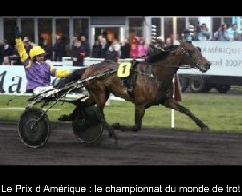 Le Prix d'Amérique : le championnat du monde de trot Le Prix d'Amérique : le championnat du monde de trot