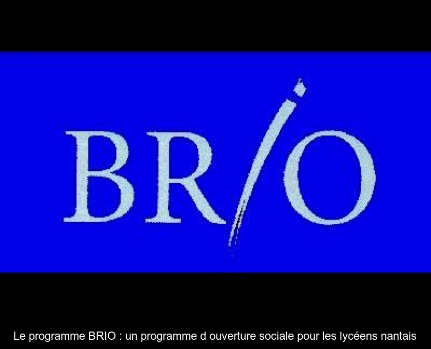 Le programme BRIO : un programme d'ouverture sociale pour les lycéens nantais Le programme BRIO : un programme d'ouverture sociale pour les lycéens nantais