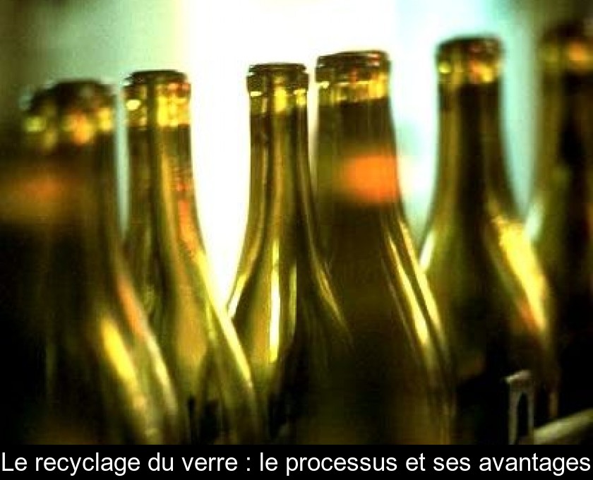 Le recyclage du verre : le processus et ses avantages Le recyclage du verre : le processus et ses avantages