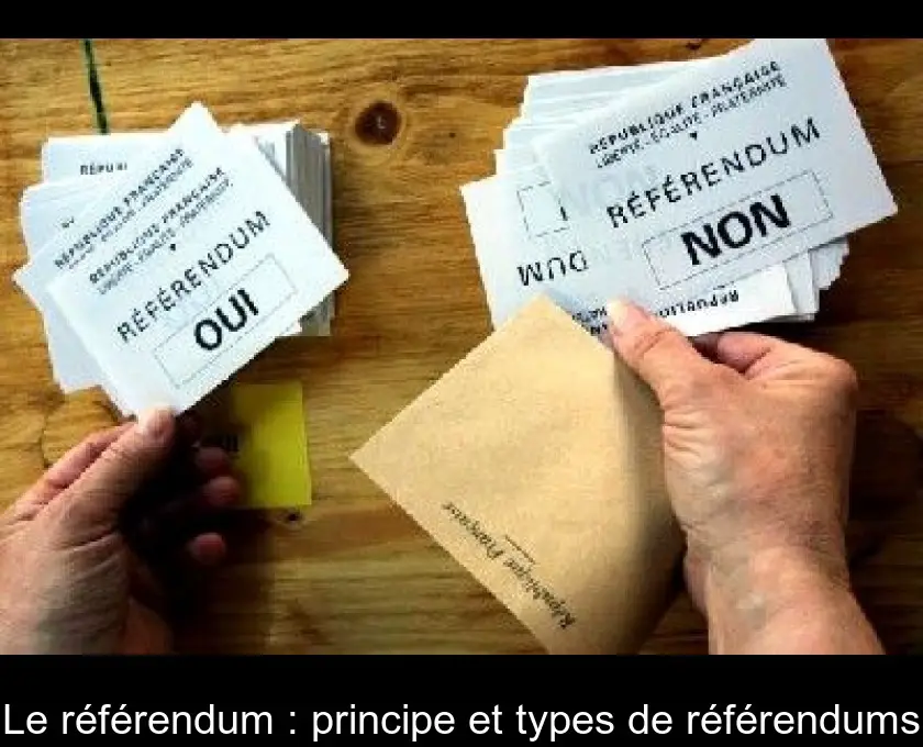 Le référendum : principe et types de référendums
