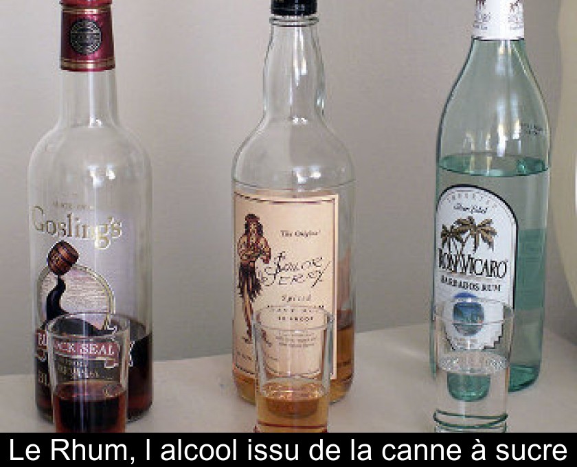 Le Rhum, l'alcool issu de la canne à sucre Le Rhum, l'alcool issu de la canne à sucre
