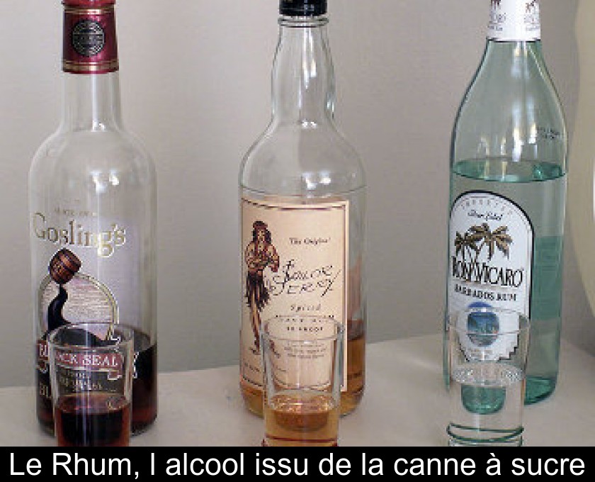 Le Rhum, l'alcool issu de la canne à sucre