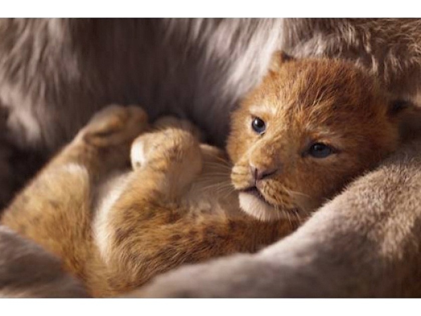 Le Roi Lion : Disney prépare un remake pour 2019 Le Roi Lion : Disney prépare un remake pour 2019