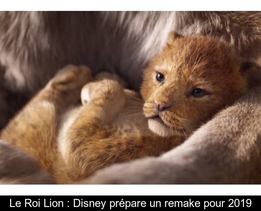 Le Roi Lion : Disney prépare un remake pour 2019 Le Roi Lion : Disney prépare un remake pour 2019