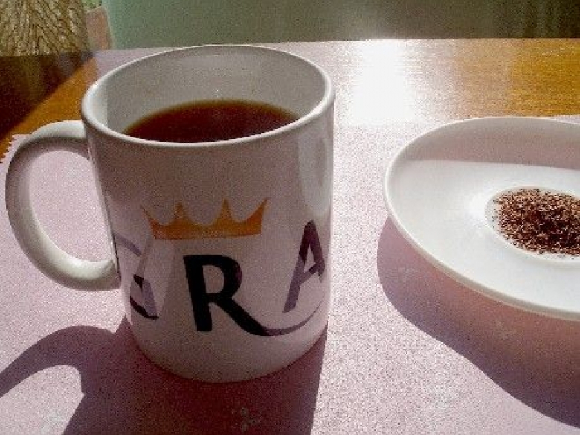 Le rooibos : présentation et vertus Le rooibos : présentation et vertus