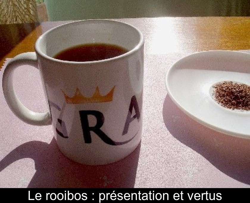 Le rooibos : présentation et vertus