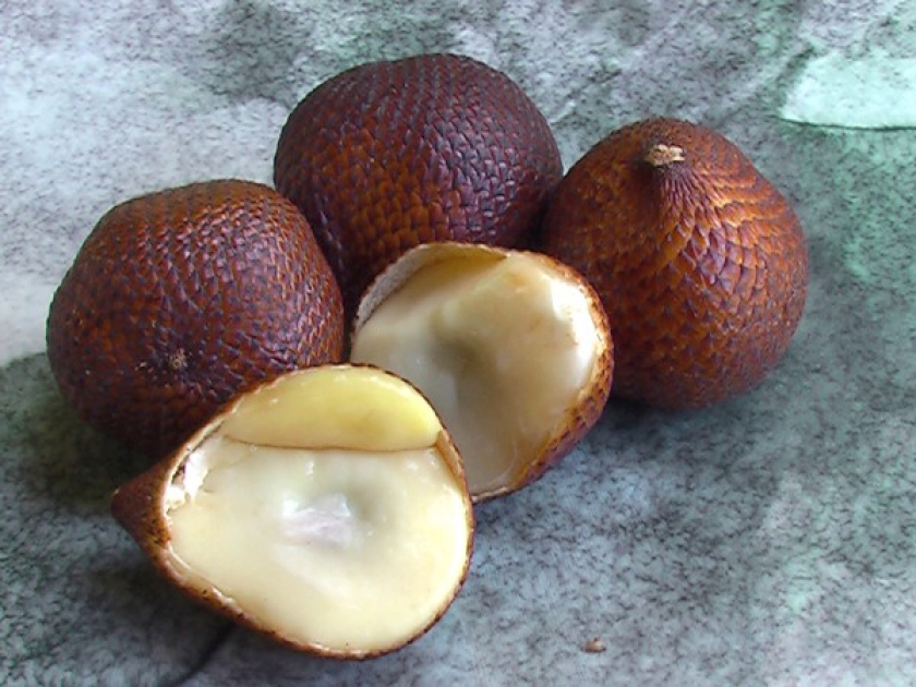 Le salak ou fruit serpent : un fruit exotique insolite Le salak ou fruit serpent : un fruit exotique insolite