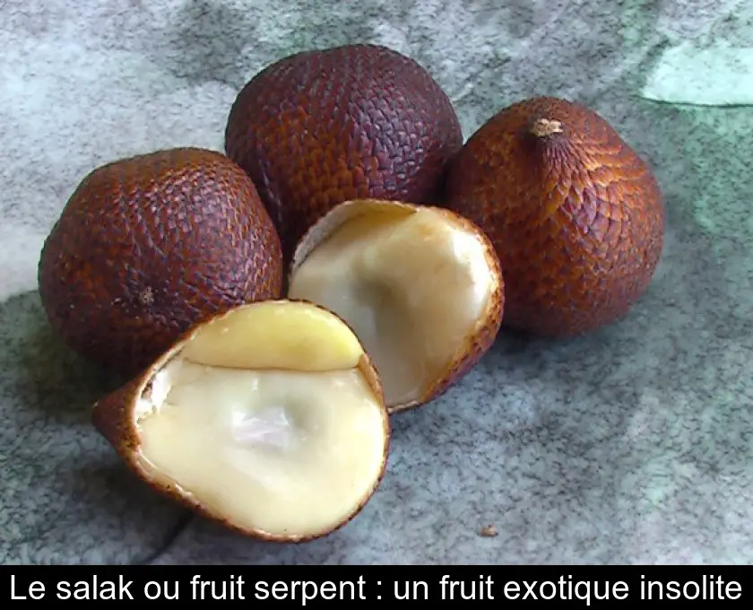 Le salak ou fruit serpent : un fruit exotique insolite