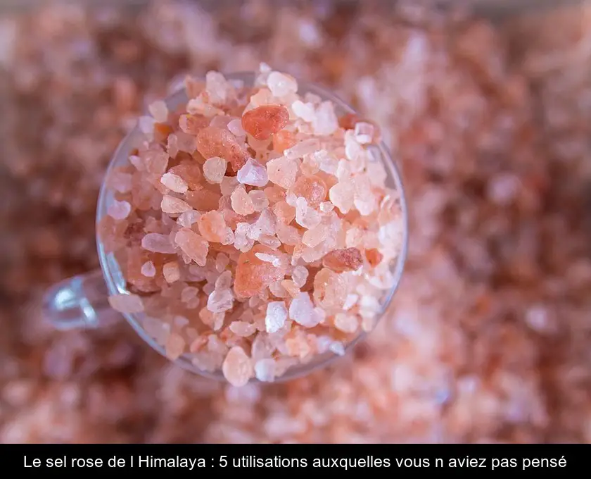Le sel rose de l'Himalaya : 5 utilisations auxquelles vous n'aviez pas pensé