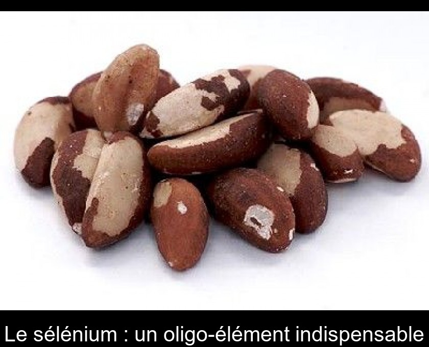 Le sélénium : un oligo-élément indispensable Le sélénium : un oligo-élément indispensable