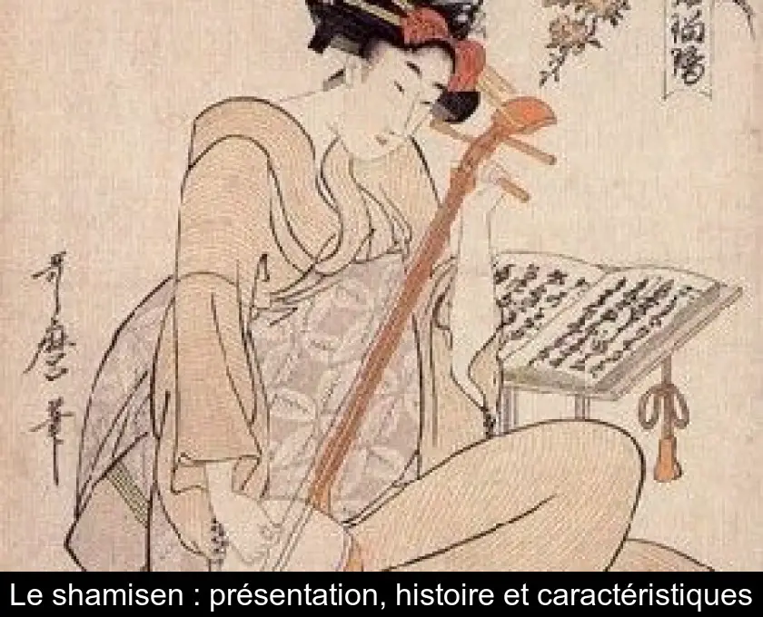 Le shamisen : présentation, histoire et caractéristiques