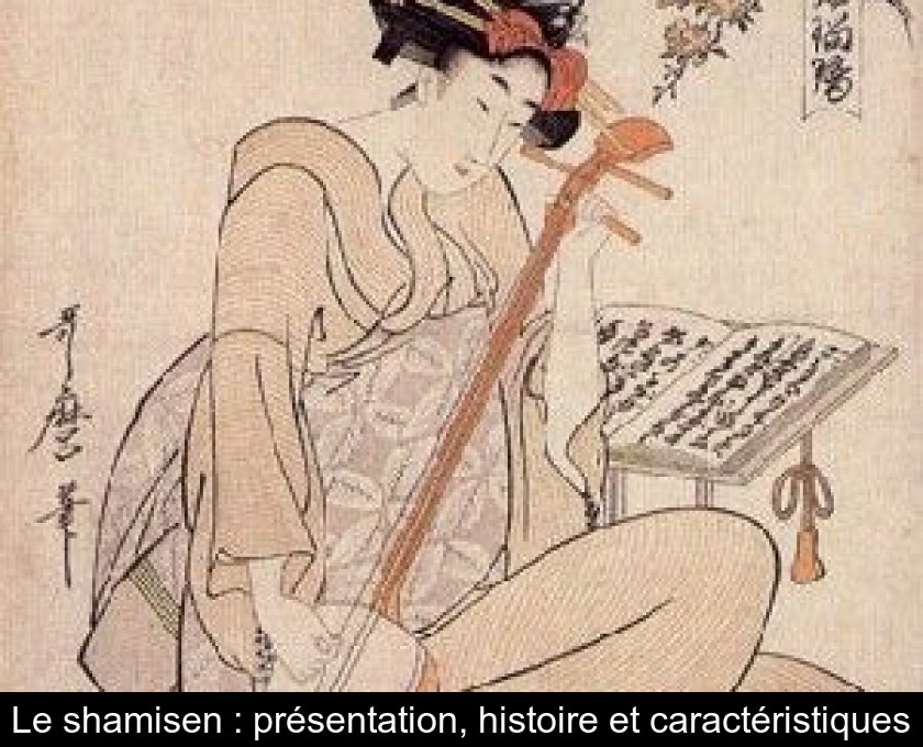 Le shamisen : présentation, histoire et caractéristiques Le shamisen : présentation, histoire et caractéristiques